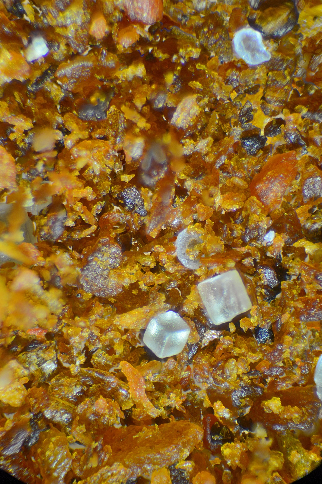 Salt on Red Pepper 16